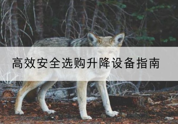 乐亭升降货梯厂家推荐-*安全选购升降设备指南