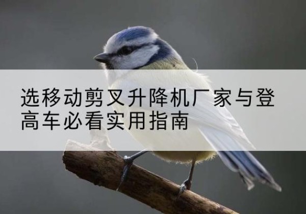 乐亭电动升降机厂家-选移动剪叉升降机厂家与登高车必看实用指南