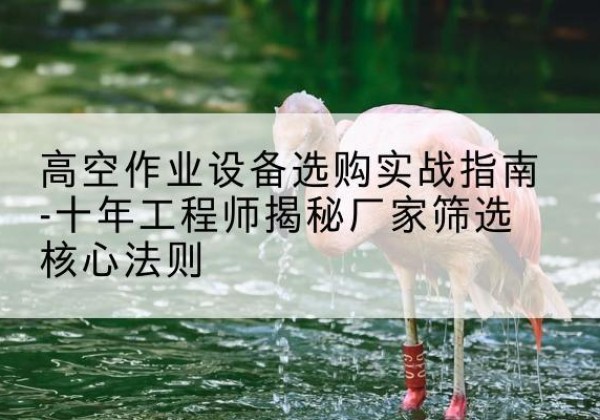 乐亭剪叉式升降机厂家-高空作业设备选购实战指南-十年工程师揭秘厂家筛选核心法则